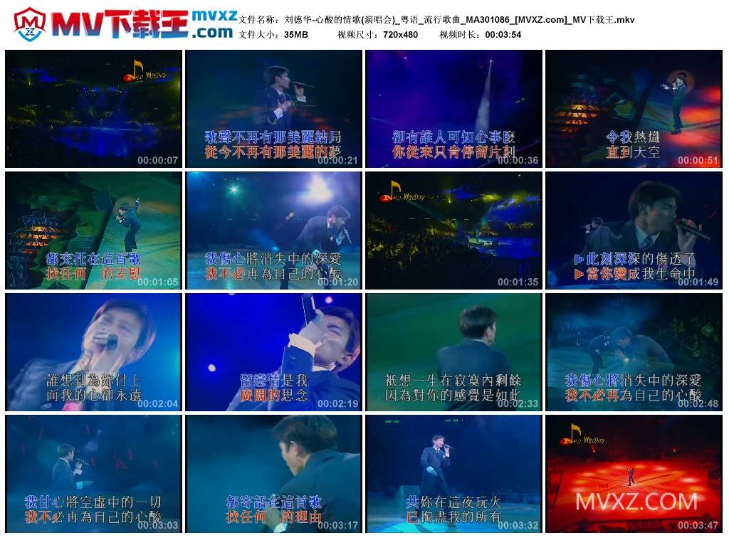 刘德华-心酸的情歌(演唱会)_粤语_流行歌曲_MA301086